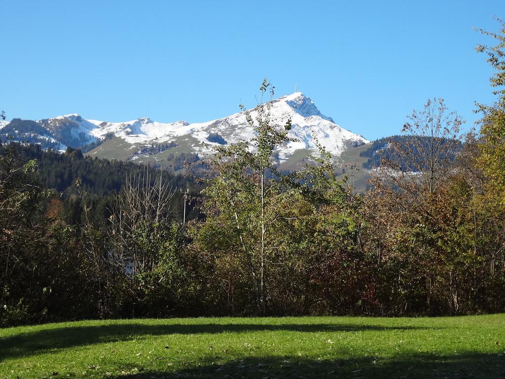Haus Sonnegg Daire Fieberbrunn Dış mekan fotoğraf
